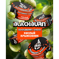 BlackBurn 200g - Gooseberry Shock (Кислый крыжовник) 