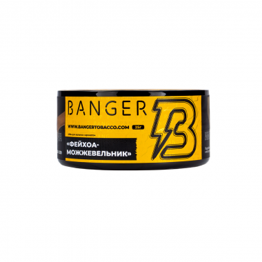 Banger (25g) - Evergreen (Фейхоа, можжевельник)