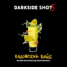 Darkside SHOT (30g) Ладожский вайб