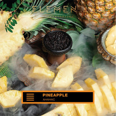 Element ЗЕМЛЯ (200g) Pineapple